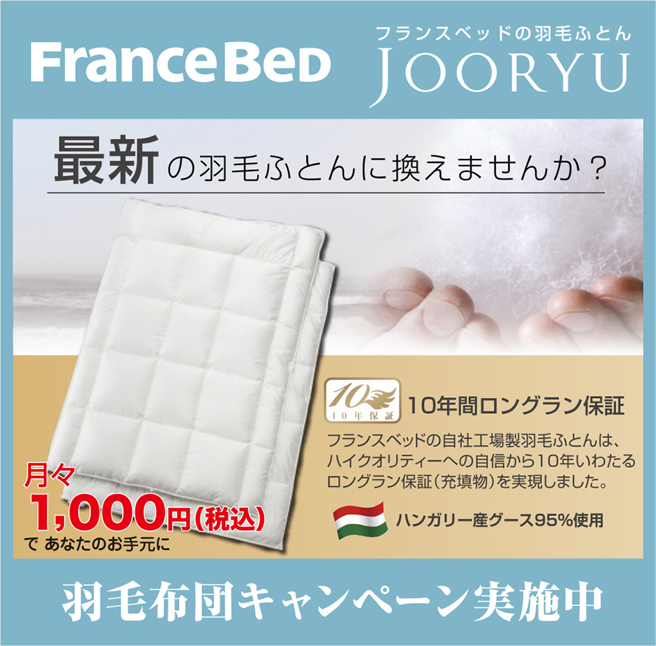 フランスベッドの羽毛布団