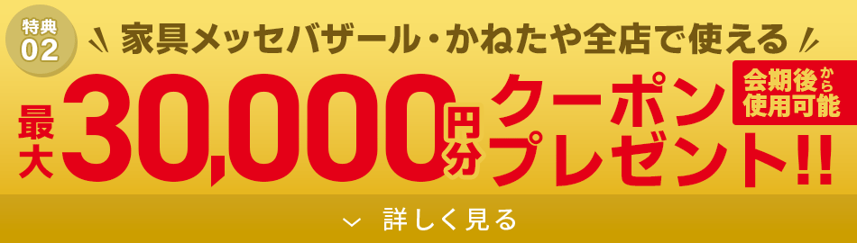 東京ドーム特別企画!最大3万円OFFクーポンプレゼント!